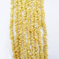 Trumpet Shell Bead, poleret, du kan DIY, gul, 3mm, Solgt Per 39 cm Strand