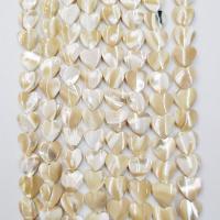 Naturlige gule Shell Perler, Gul Shell, Heart, poleret, du kan DIY, lys beige, Solgt Per 39 cm Strand