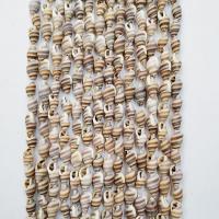 Trumpet Shell Kraal, Schelp, gepolijst, DIY, gemengde kleuren, 2-5mm, Per verkocht 60 cm Strand