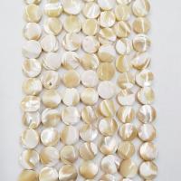 Přírodní Korálky Žlutá Shell, Flat Round, lesklý, DIY, světle béžová, Prodáno za 39 cm Strand