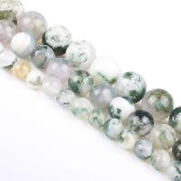 Tree Agate Beads Round polished DIY mixed colors Sold Per 39 cm Strand