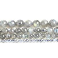 Perles Pierre de lune, Moonstone, Rond, poli, normes différentes pour le choix & styles différents pour le choix, gris, Vendu par Environ 14.57 pouce brin