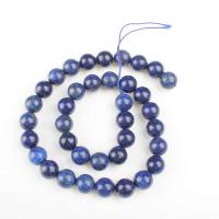 Perles Lapis Lazuli, Rond, poli, DIY, bleu, Vendu par 39 cm brin