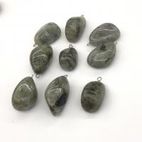 labradorite pendente, with ferro, Pepite, lucido, grigio, 17-24mm, Venduto da PC