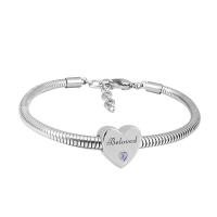 Bracciale gioielli in acciaio inossidabile, 316 acciaio inox, unisex & con strass, argento, Lunghezza 7.5 pollice, Venduto da PC