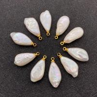 Freshwater Pearl Vedhæng, Ferskvandsperle, med Messing, guldfarve belagt, mode smykker & du kan DIY, hvid, 10x22mm, Solgt af PC