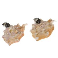 Shell Pendler, Messing, med rhinestone ler bane & Shell, blandede farver, 31x43x50mm, Solgt af PC