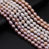 Rice ferskvandskulturperle Beads, Ferskvandsperle, Ris, du kan DIY, flere farver til valg, 7-8mm, Solgt Per 36 cm Strand