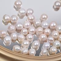 Žádné díry kultivované sladkovodní perle, Sladkovodní Pearl, DIY & bez otvoru, bílý, 10-14mm, 5PC/Bag, Prodáno By Bag