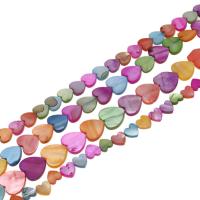 Perline conchiglia colorate naturalmente, Cuore, DIY, multi-colore, Venduto per 38 cm filo