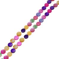 Přírodní barevné Shell korálky, Skořápka, Flat Round, DIY, multi-barevný, Prodáno za 38 cm Strand