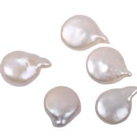 Nessun buco coltivate in acqua dolce Perla, perla d'acquadolce coltivata naturalmente, DIY & non forato, bianco,  15-18mm, 5PC/borsa, Venduto da borsa