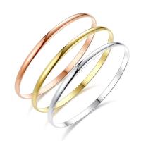 Titantium acciaio bracciale, placcato, gioielli di moda & unisex, nessuno, 68mm, 6mm, Venduto da PC