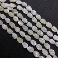 White Lip Shell Beads Leaf Carved DIY white Sold Per 38 cm Strand