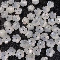 White Shell Bead Cap, Bloem, DIY & verschillende grootte voor keus, wit, Verkocht door PC