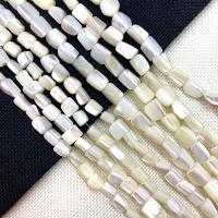 Natural White Shell Perler, Uregelmæssig, du kan DIY, hvid, 11-13mm, Solgt Per Ca. 15 inch Strand