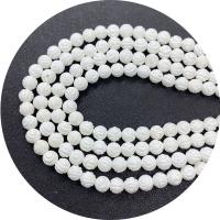 Naturliga Vit Shell Halsband, White Shell, Rund, Sned, DIY, vit, Såld Per 38 cm Strand