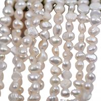 Keishi kultivované sladkovodní perle, Sladkovodní Pearl, DIY, bílý, 3-4mm, Prodáno za 38 cm Strand