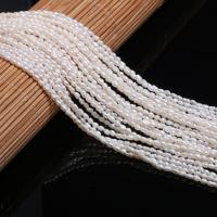 Grânulos de pérolas  cultivadas de água doce  de froma de arroz, Pérolas de água doce, Irregular, DIY, branco, 2.0-2.3mm, vendido para Aprox 15 inchaltura Strand