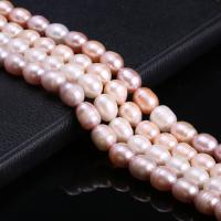 Rice Kulturan Slatkovodni Pearl perle, Riža, možete DIY, više boja za izbor, 10-11mm, Prodano Per Približno 15 inčni Strand