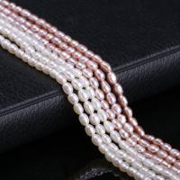 Rice ferskvandskulturperle Beads, Ferskvandsperle, Ris, du kan DIY, flere farver til valg, 2.5-3mm, Solgt Per Ca. 15 inch Strand