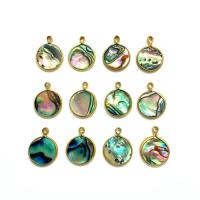 Natuurlijke Abalone Shell Hangers, Abalone Schelp, met Messing, gold plated, mode sieraden & DIY, 11x14mm, Verkocht door PC