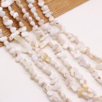 Natuurlijke zoetwaterschelp kralen, Schelp, Chips, DIY, wit, 8x15-10x20mm, Per verkocht 80 cm Strand