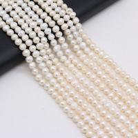 Knap ferskvandskulturperle Beads, Ferskvandsperle, du kan DIY, hvid,  6-7mm, Solgt Per 36 cm Strand