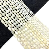 Natural White Shell Perler, Ris, du kan DIY, hvid, Solgt Per 38 cm Strand