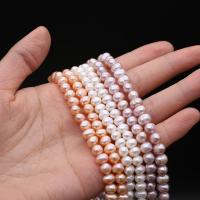 Okrugli Kulturan Slatkovodni Pearl perle, možete DIY, više boja za izbor, 5-6mm, Prodano Per Približno 14.17 inčni Strand