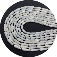 Natural White Shell Kralen, Schelp, Traan, DIY & verschillende grootte voor keus, wit, Per verkocht 14.96 inch Strand