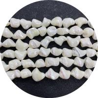 Top Shell Bead, du kan DIY, flere farver til valg, Solgt Per 14.96 inch Strand