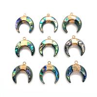 Naturlig Abalone Shell Pendler, med Zinc Alloy, Moon, guldfarve belagt, du kan DIY, 21x22mm, Solgt af PC