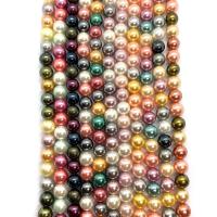 Perline conchiglia mari del sud, Shell Pearl, lucido, DIY, nessuno, 6-12mm, Venduto per 14.96 pollice filo