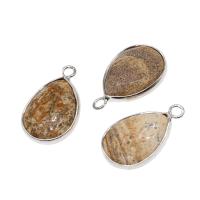 Messing Pendel, med Picture Jasper, Teardrop, blandede farver, 26x17x6mm, Solgt af PC