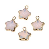 Sea Opal Hangers, Messing, met Sea Opal, Ster, gemengde kleuren, 15x12x5mm, Verkocht door PC