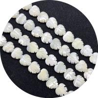 Natural White Shell Perler, du kan DIY & forskellige stilarter for valg, hvid, 10-21mm, Solgt Per 14.96 inch Strand