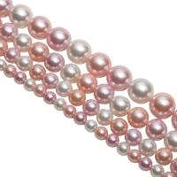 Perline conchiglia mari del sud, Shell Pearl, Cerchio, placcato, DIY & formato differente per scelta, colori misti, Venduto per Appross. 15.75 pollice filo