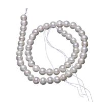 Runda odlad sötvattenspärla pärlor, Freshwater Pearl, DIY, vit, 7-8mm, Såld Per Ca 14.17 inch Strand