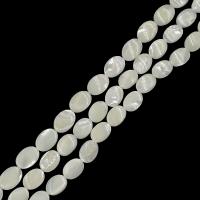 Witte Lip Shell Beads, White Lip Shell, Plat Ovaal, DIY & verschillende grootte voor keus, wit, Per verkocht Ca 15 inch Strand