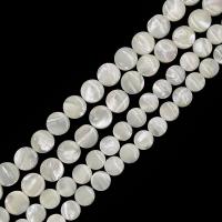 Witte Lip Shell Beads, White Lip Shell, Ronde, DIY & verschillende grootte voor keus, wit, Per verkocht Ca 15 inch Strand