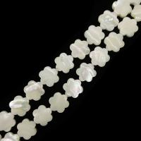 Hvide Lip Shell Perler, Hvid Lip Shell, Flower, du kan DIY, hvid, 12mm, Solgt Per Ca. 15 inch Strand