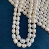 Button Kulturan Slatkovodni Pearl perle, biser, možete DIY, bijel, 8mm, Prodano Per Približno 14.17 inčni Strand