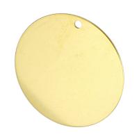 Roestvrij staal labels, Rond plat, gold plated, 40x40x1mm, Gat:Ca 2mm, Verkocht door PC