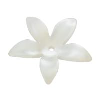 Shell Bead Cap Flower white Approx 1mm Sold By PC