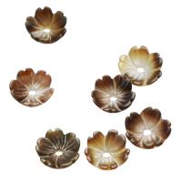 Shell Bead Cap Flower brown Approx 1mm Sold By PC