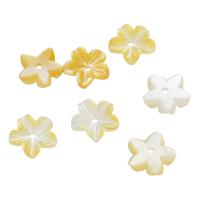 Shell Bead Cap, Flower, gul, 8.50x8.50x2mm, Hole:Ca. 1mm, Solgt af PC