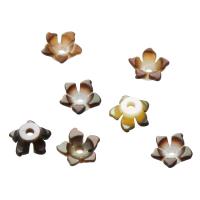 Shell Bead Cap, Flower, donn, 6x6x2.50mm, Poll:Thart 1mm, Díolta De réir PC