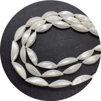 Natural White Shell Kralen, DIY, wit, 12x30mm, Per verkocht 14.96 inch Strand