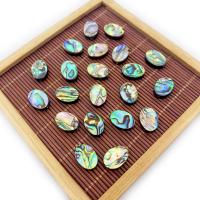 Abalone -Shell-Beads, conchiglia Abalone, Ovale, DIY & formato differente per scelta, 6-18x8-25mm, Venduto da PC